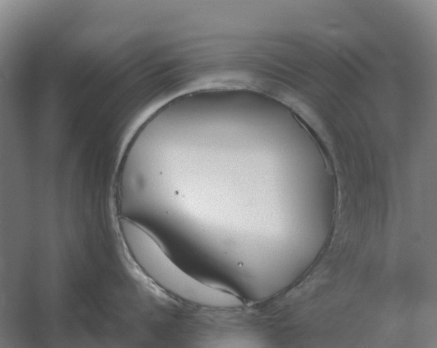 X0000059830960200511041742