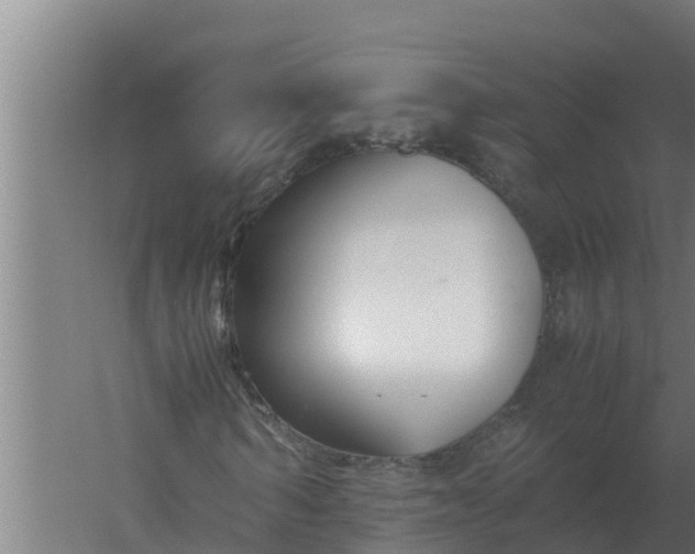 X0000059830962200511041742