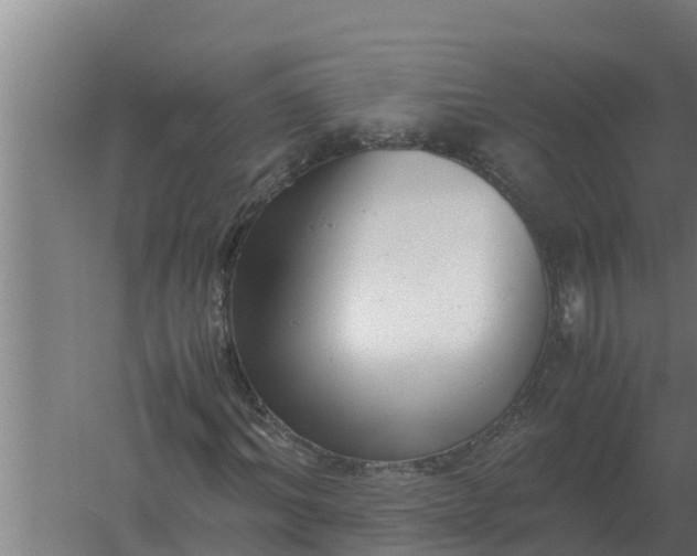 X0000059830964200511041742