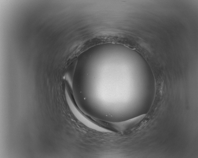 X0000059830965200511041742