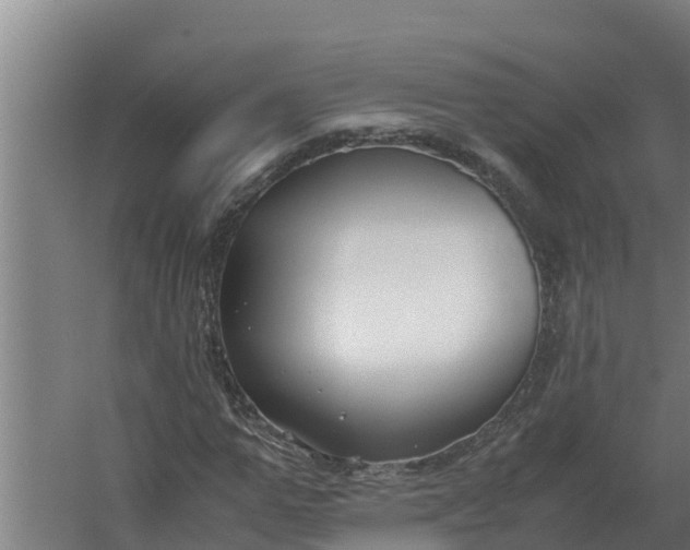 X0000059830967200511041742