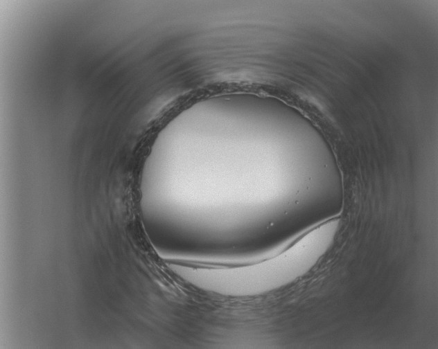 X0000059830968200511041742