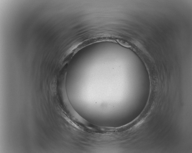 X0000059830969200511041742