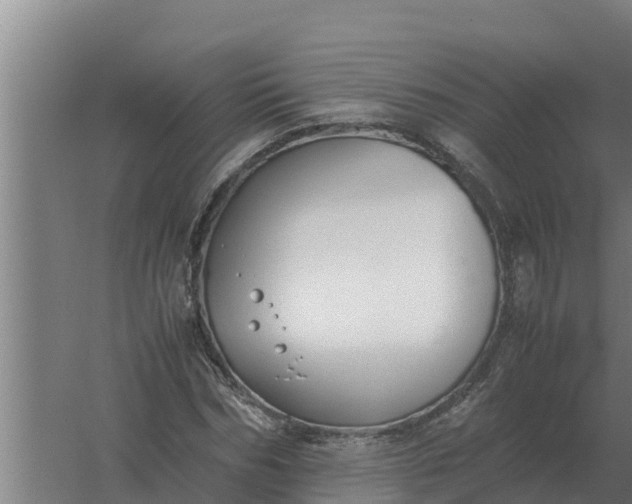 X0000059830970200511041741