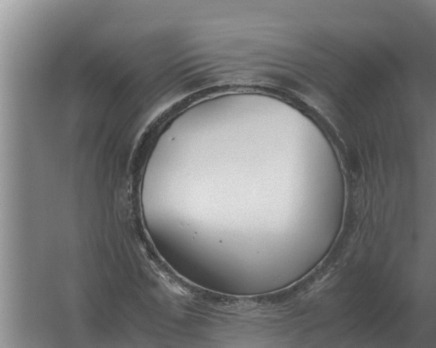 X0000059830971200511041741