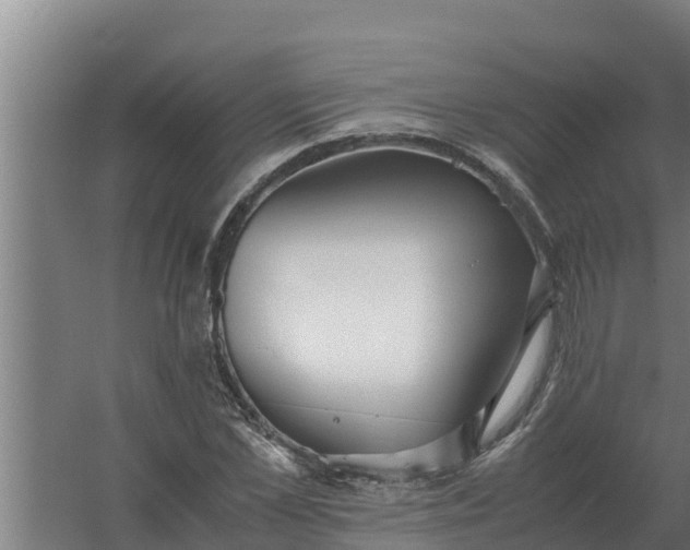 X0000059830973200511041741