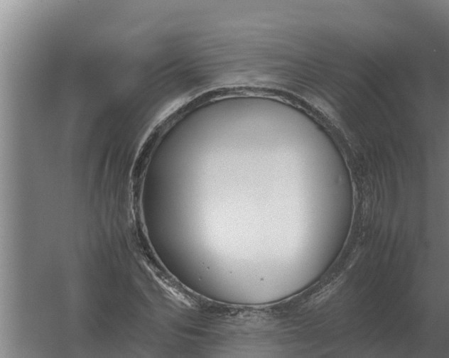 X0000059830974200511041741