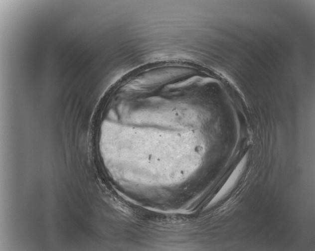 X0000059830975200511041741