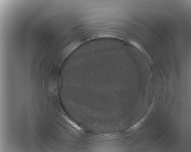 X0000059830977200511041741