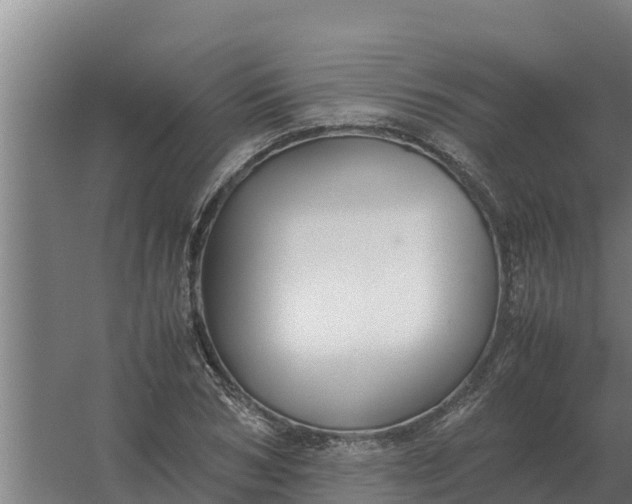 X0000059830978200511041741