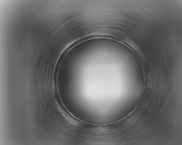 X0000059830980200511041741