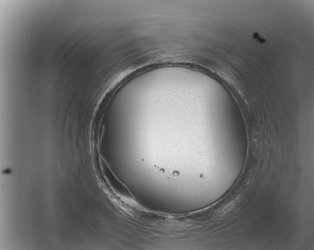 X0000059830981200511041741