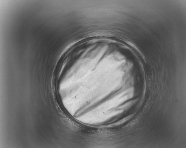 X0000059830983200511041741