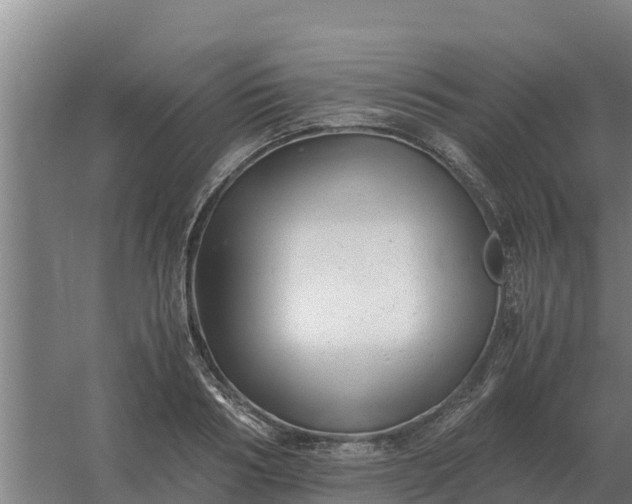 X0000059830986200511041741