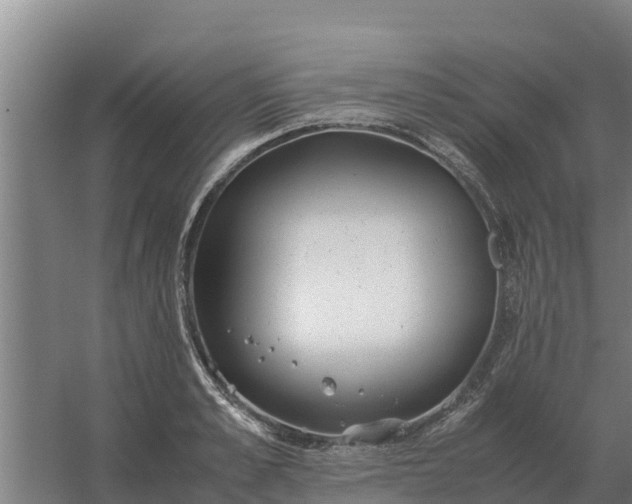 X0000059830989200511041741