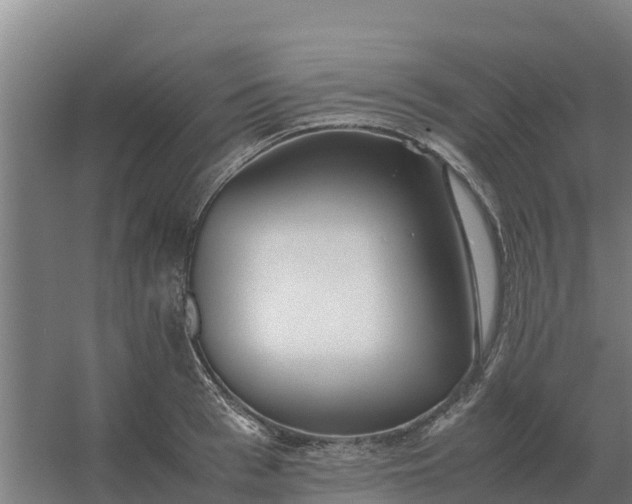 X0000059830993200511041741