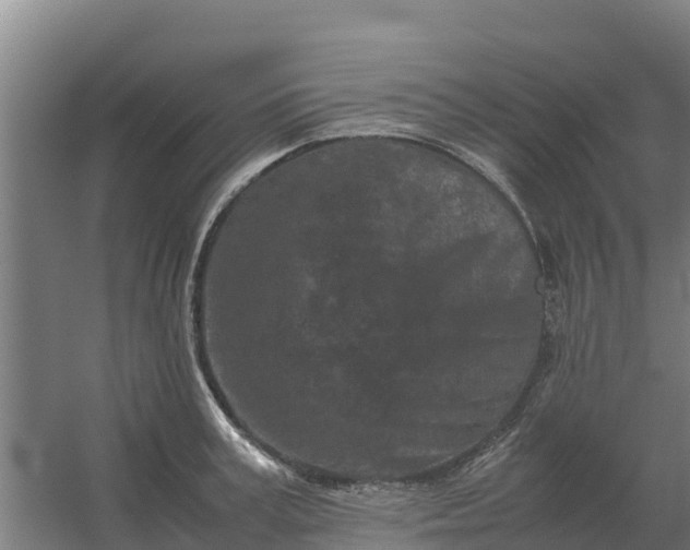 X0000059830995200511041741