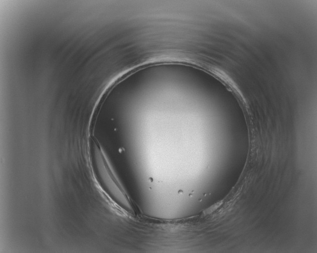 X0000059830996200511041741