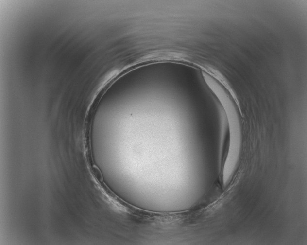 X0000059830997200511041741