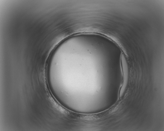 X0000059830998200511041741