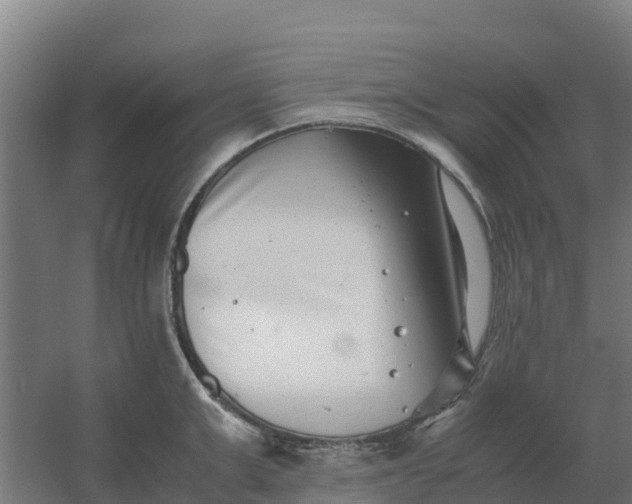 X0000059830999200511041741