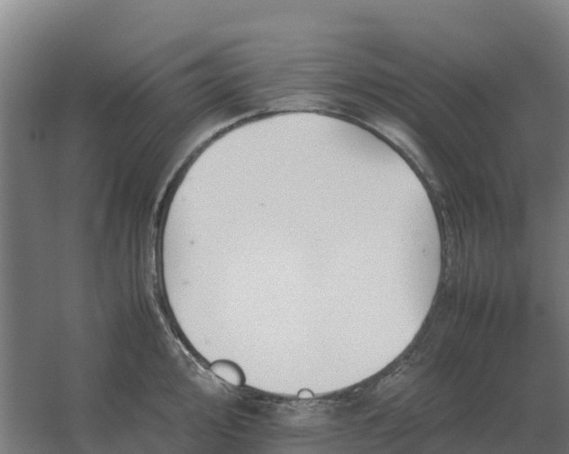 X0000059831000200511041741