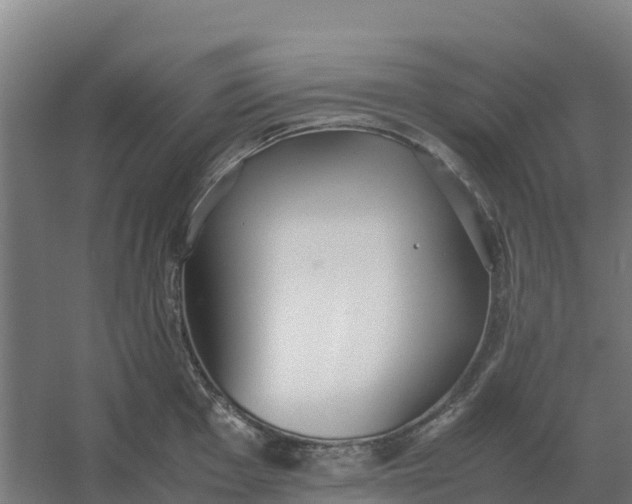 X0000059831001200511041741