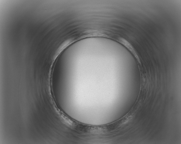 X0000059831002200511041741