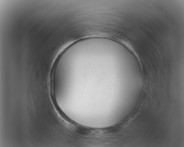 X0000059831003200511041741