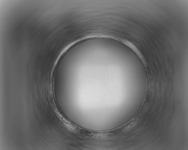 X0000059831004200511041741