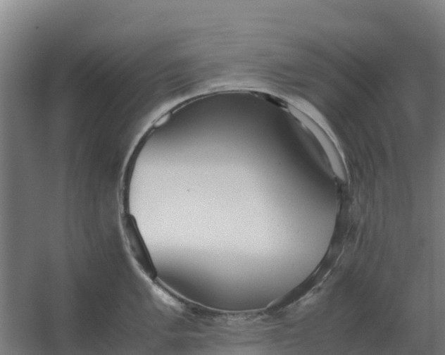 X0000059831005200511041741