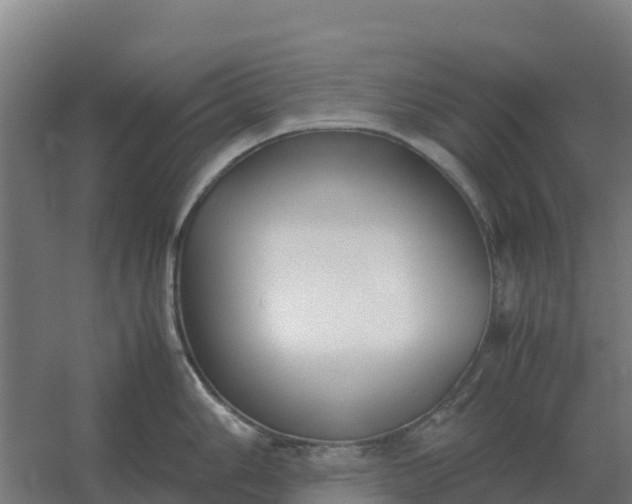 X0000059831006200511041741