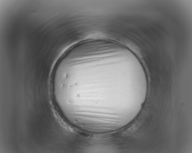 X0000059831008200511041741