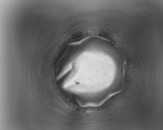 X0000059831009200511041740