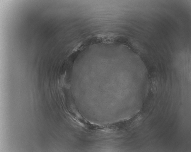 X0000059831010200511041740