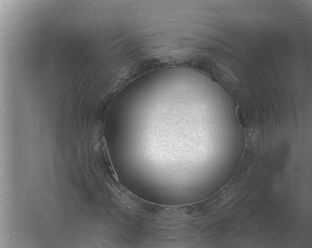 X0000059831012200511041740