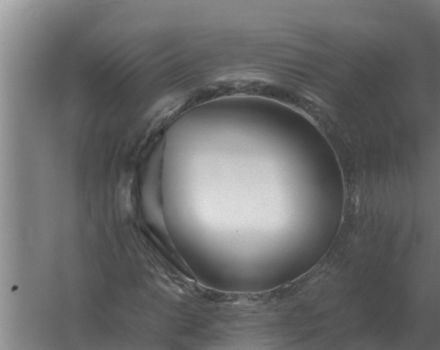 X0000059831014200511041740