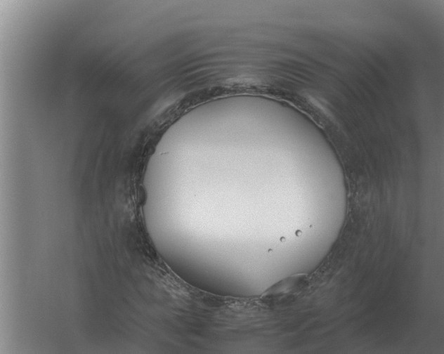 X0000059831015200511041740