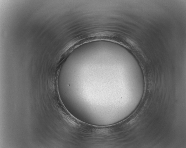 X0000059831017200511041740