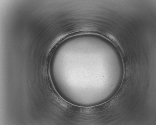 X0000059831019200511041740