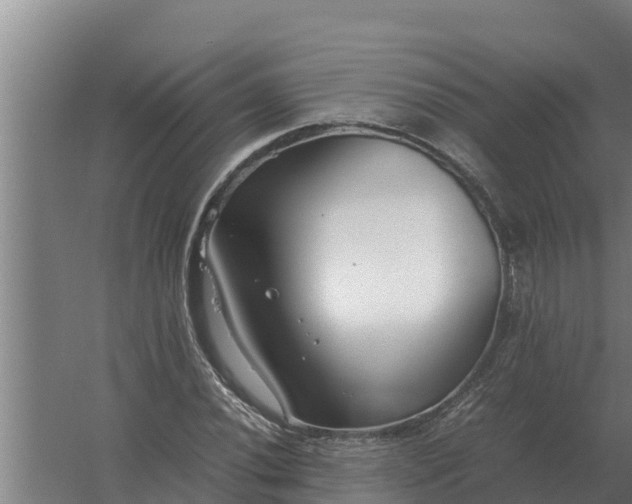 X0000059831020200511041740