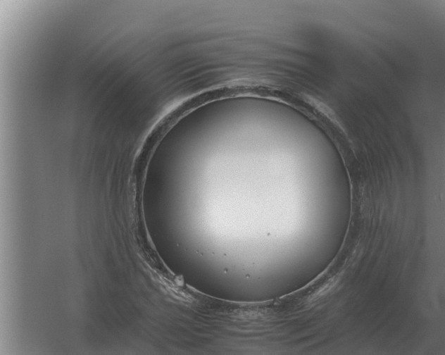 X0000059831021200511041740