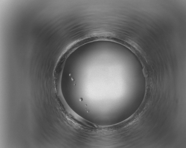 X0000059831022200511041740