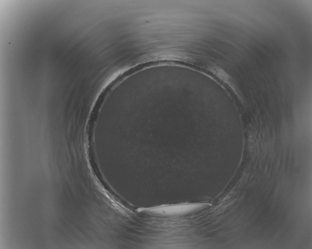 X0000059831024200511041740