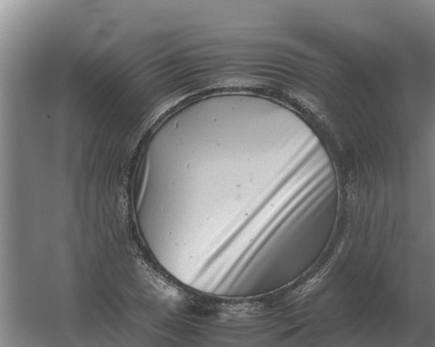 X0000059831025200511041740