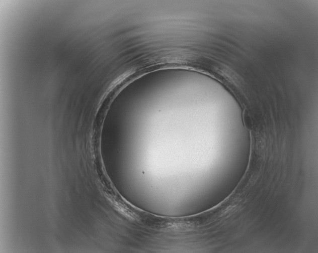 X0000059831026200511041740