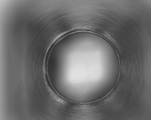 X0000059831028200511041740