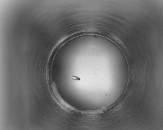 X0000059831029200511041740