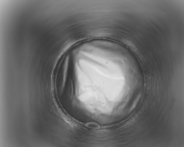 X0000059831031200511041740