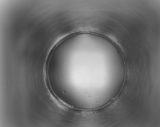 X0000059831032200511041740